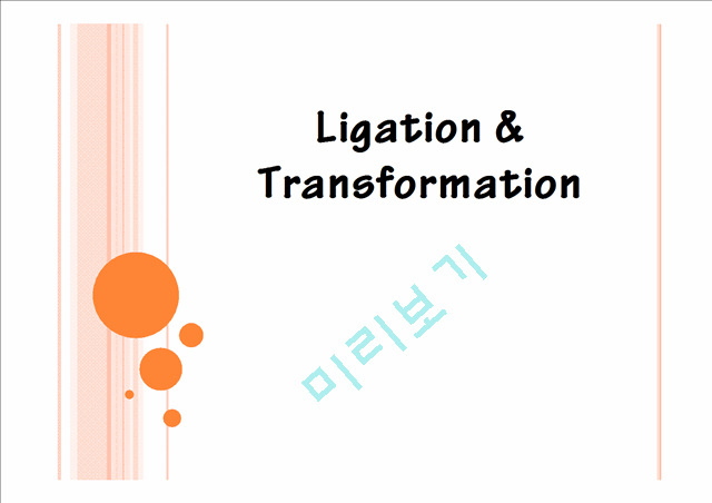 ligation & transformation   (1 )